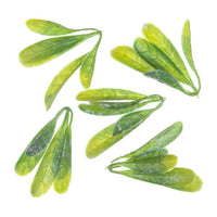 3D Decorative Leaves Covered in Frost, Set of 5
