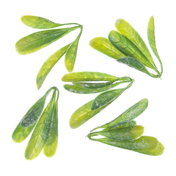 3D Decorative Leaves Covered in Frost, Set of 5