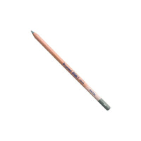 Bruynzeel Pastel Pencil – Cold gray