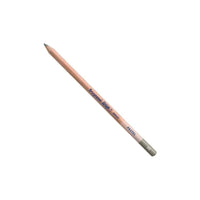 Bruynzeel Pastel Pencil – Dark Cold Gray
