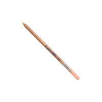 Bruynzeel Pastel Pencil – Light Titanium Buff