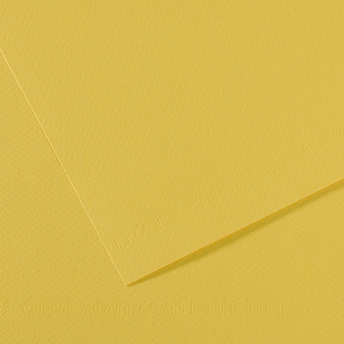 CANSON Mi-Teintes Pastel Paper 50 x 65 cm 160 g 25 Sheets – Anise