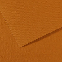 CANSON Mi-Teintes Pastel Paper 50 x 65 cm 160 g 25 Sheets – Clear Havana 502