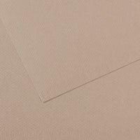 CANSON Mi-Teintes Pastel Paper 50 x 65 cm 160 g 25 Sheets – Flannel Gray 122