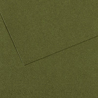 CANSON Mi-Teintes Pastel Paper 50 x 65 cm 160 g 25 Sheets – Ivy 448