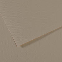 CANSON Mi-Teintes Pastel Paper 50 x 65 cm 160 g 25 Sheets – Oyster 340