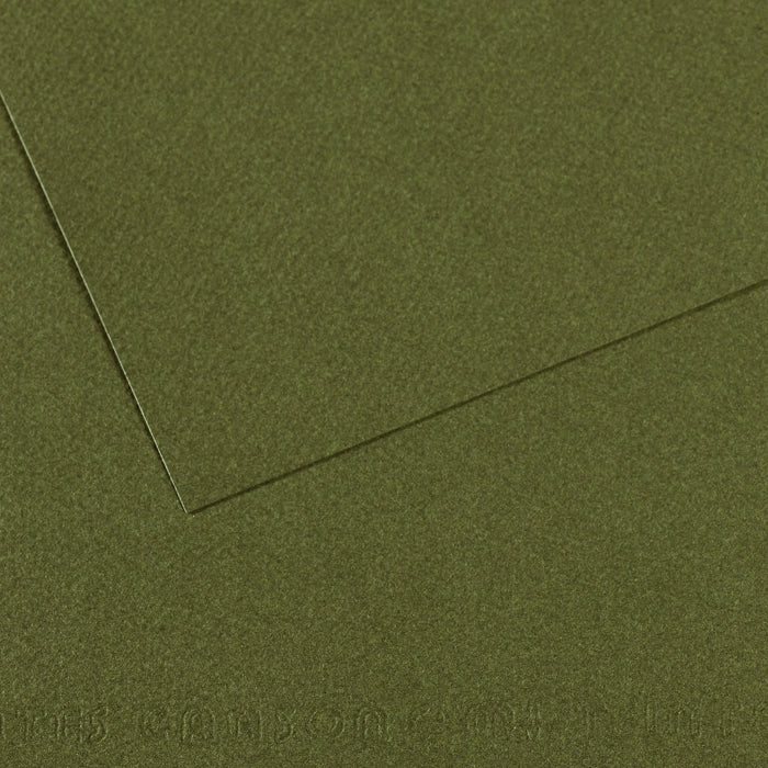 Canson Mi-Teintes Pastel Paper 50 x 65 cm 160 g 25H – Ivy Green 448