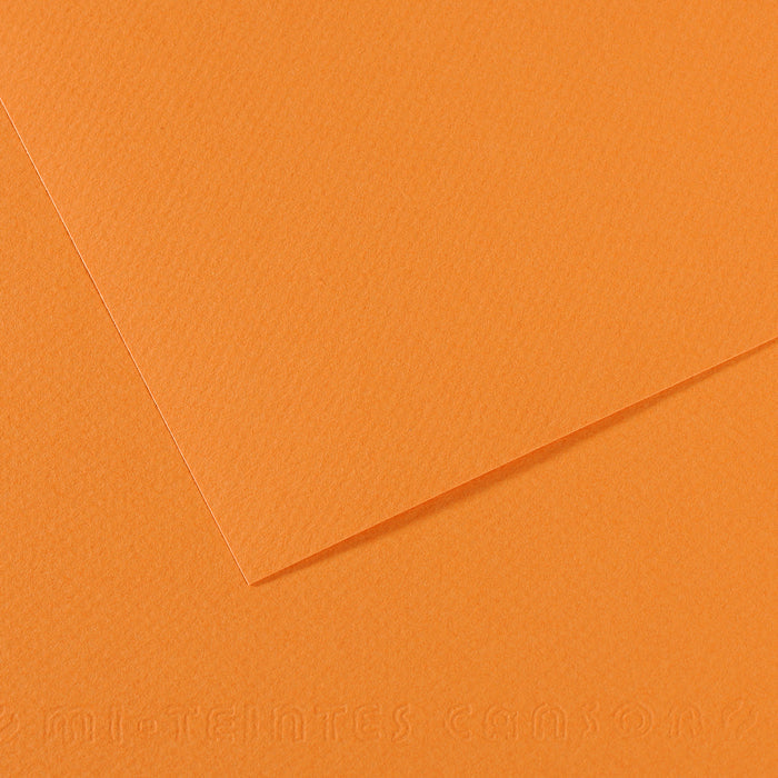 CANSON Mi-Teintes Pastel Paper A4 / 160 g/m² – 50 Sheets – Beige 384