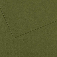 Canson Mi-Teintes Toned Paper 50 x 65 cm – 160 g/m² – Ivy 448