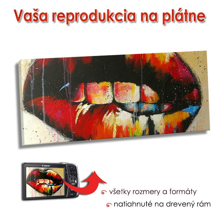 Canvas Reproduction - PANORAMA