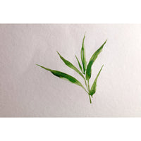 CLAIREFONTAINE Bamboo Watercolor Pad 250 g/m² - 20 Sheets