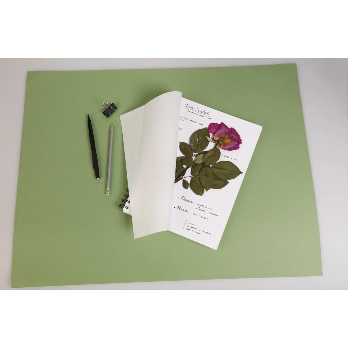 Clairefontaine Herbarium, 180 g/m², 21 x 21 cm, 32 Sheets