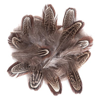 Dark Decorative Pheasant Feathers / Set of 15
