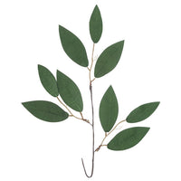 Decorative 3D Eucalyptus Branch