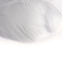 Decorative Feathers 190 pcs | various colors — image 6