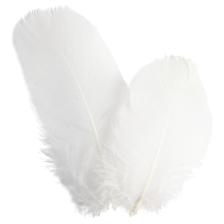 Decorative Feathers 3 g | various colors, image 3