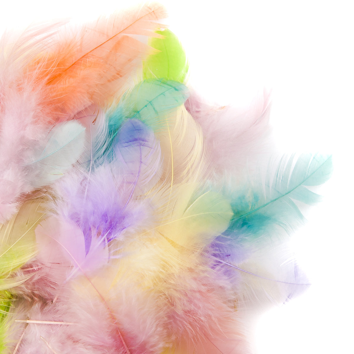 Decorative Feathers 5 to 12 cm - 5 g - Pastel
