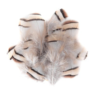 Decorative Light Pheasant Feathers / Set of 15