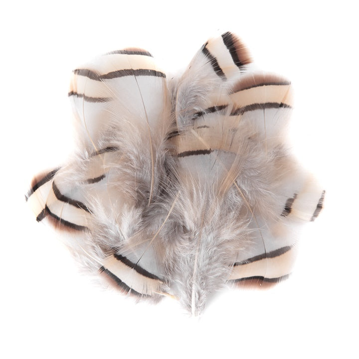 Decorative Light Pheasant Feathers / Set of 15