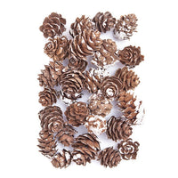 Decorative mini pine cones covered in snow