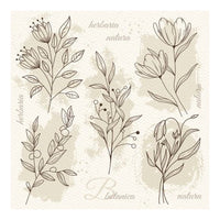 Decoupage Napkins Beige Flower Illustration, 1 pc