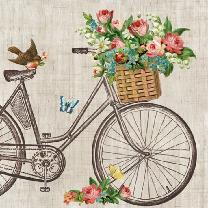 Decoupage Napkins Robin on Bike - 1 pc