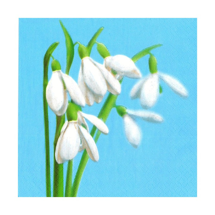 Decoupage Napkins - Snowdrops - 1 pc - SLWI006601
