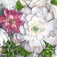 Decoupage Napkins Succulent Plants and Stones Composition - 1 pc