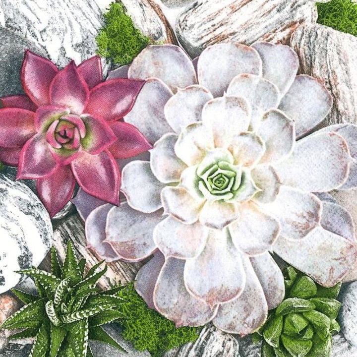Decoupage Napkins Succulent Plants and Stones Composition - 1 pc
