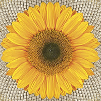 Decoupage Napkins Sunflower on Seeds - 1 pc
