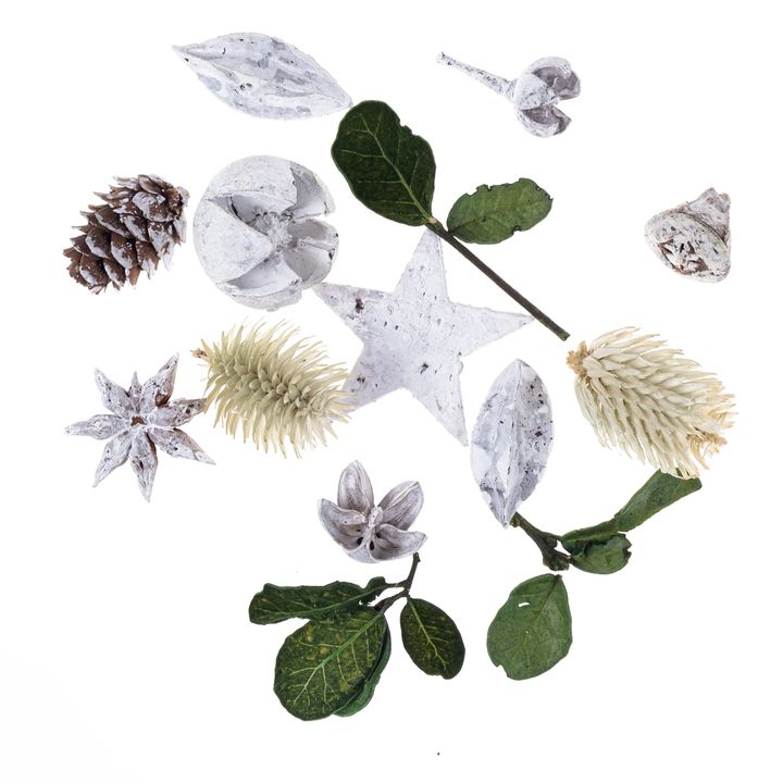 Dried Exotic Fruits and Leaves 20 g
