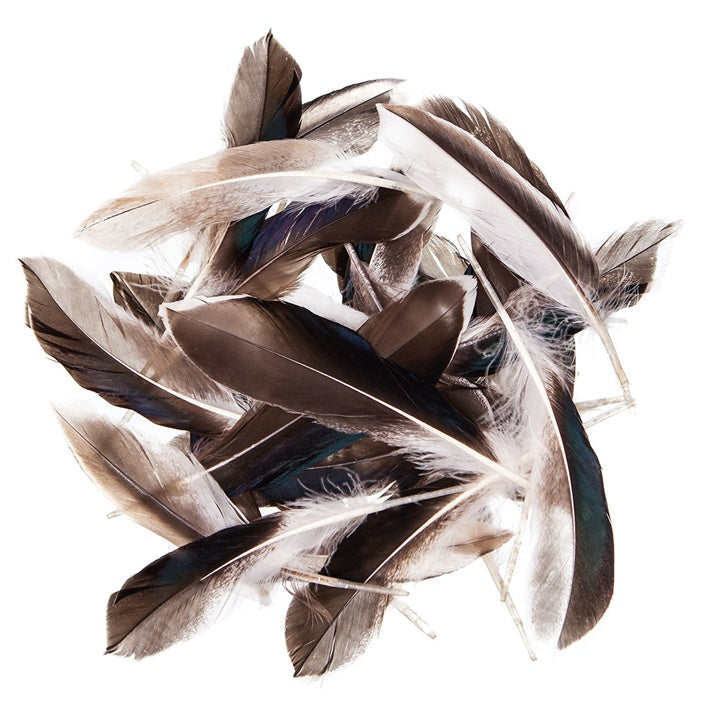 Duck Feathers, 10–15 cm, 10 g