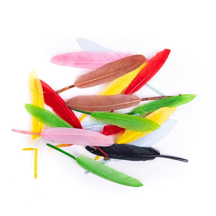 Goose Feathers, 13 cm, Multicolor, 20 pcs