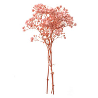 Gypsophila Light Pink / 4 Stems, 20 cm