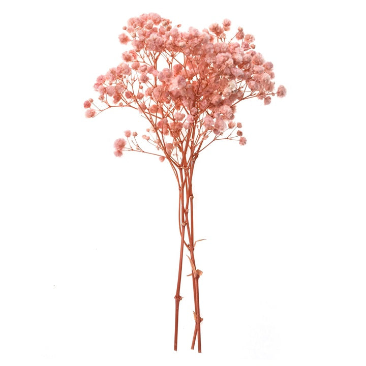 Gypsophila Light Pink / 4 Stems, 20 cm