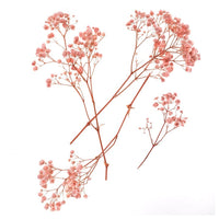 Gypsophila Light Pink / 4 Stems, 20 cm