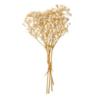 Gypsophila Natural / 4 Stems, 20 cm