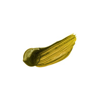 Holbein Heavy Body Professional Acrylic Paints | Yellow Shades — image 11