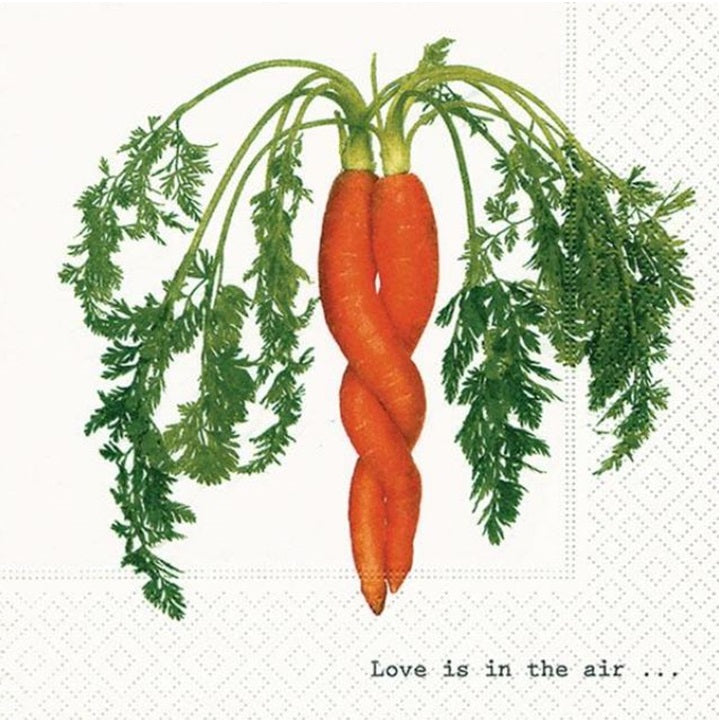 Intertwined Carrot Decoupage Napkins - 1 pc