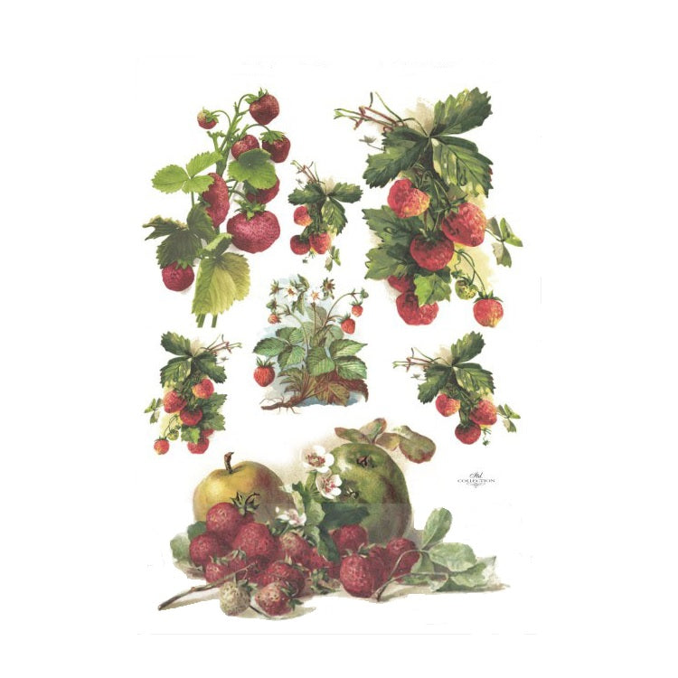 ITD Rice Paper A4 - Strawberries