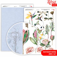 King Protea Scrapbooking Paper A4 – No. 8