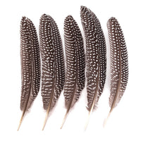 Large Decorative Pheasant Feathers / Set of 5