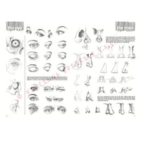 Leonardo Collection 03 Drawing Basics — image 4
