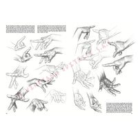 Leonardo Collection 03 Drawing Basics — image 5