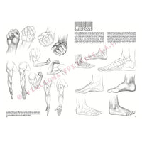 Leonardo Collection 03 Drawing Basics — image 6