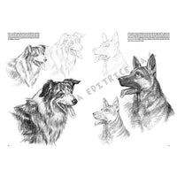 Leonardo Collection 13 Animals — image 5