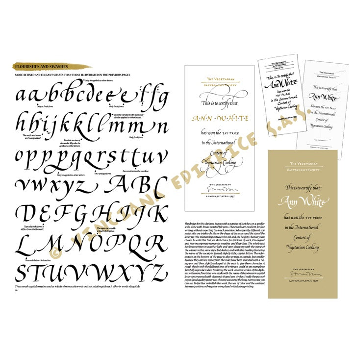 Leonardo Collection 37 Calligraphy — image 3
