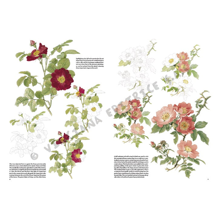Leonardo Collection 42 Roses - image 3
