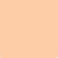 Liquid tempera paint Pentart 500 ml | various shades – compact powder