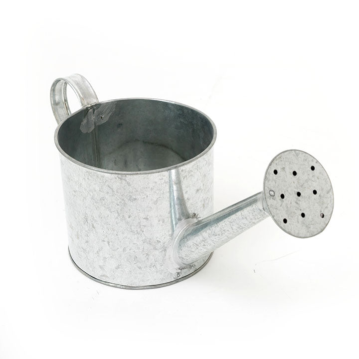 Metal Watering Can 13 x 11 cm